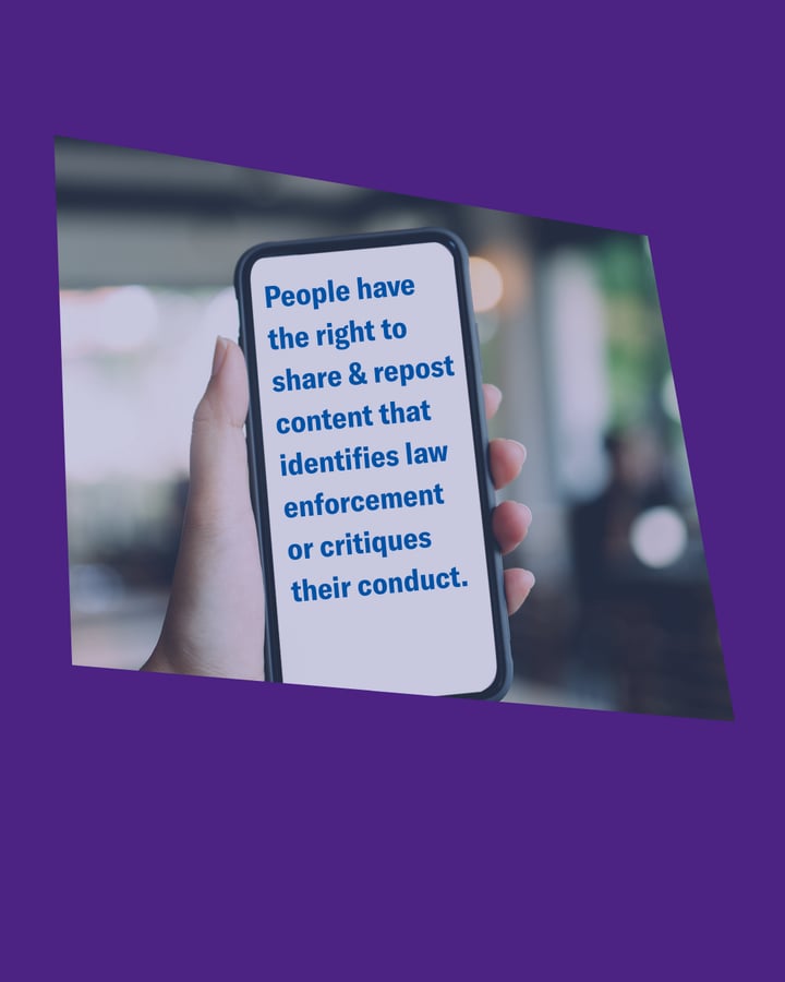 DHS Withdraws Subpoena Seeking to Unmask Instagram Users Who Posted About ICE Raids